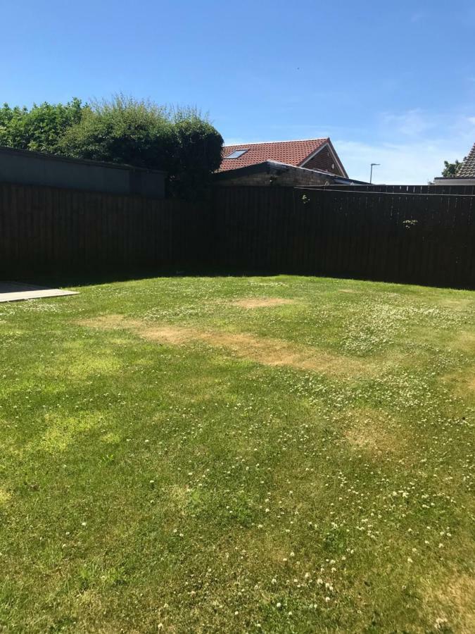 Belmont Apartments بيلينغهام المظهر الخارجي الصورة